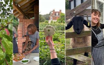 A day out at The Food Museum